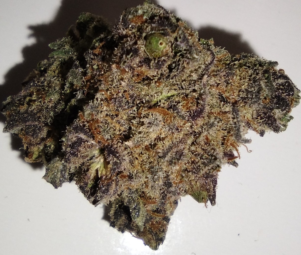 Photograph of product: 1889 Farms - Blue Dream - 7g - Flower
