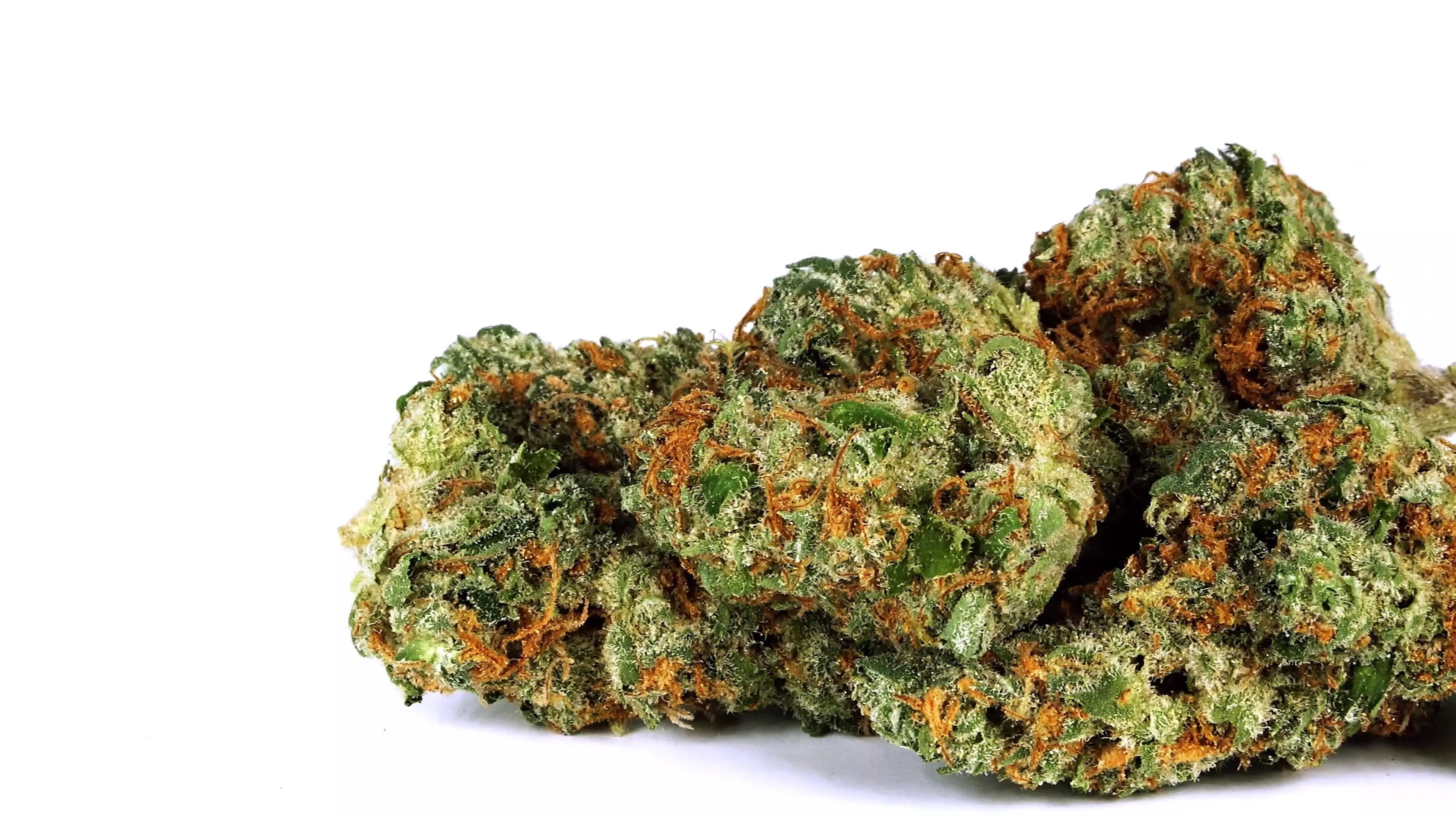 Photograph of product: Kush Cream - 28g