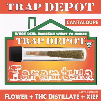 Photograph of product: TRAP DEPOT- CHERRY SLUSHIE INFUSED TARANTULA