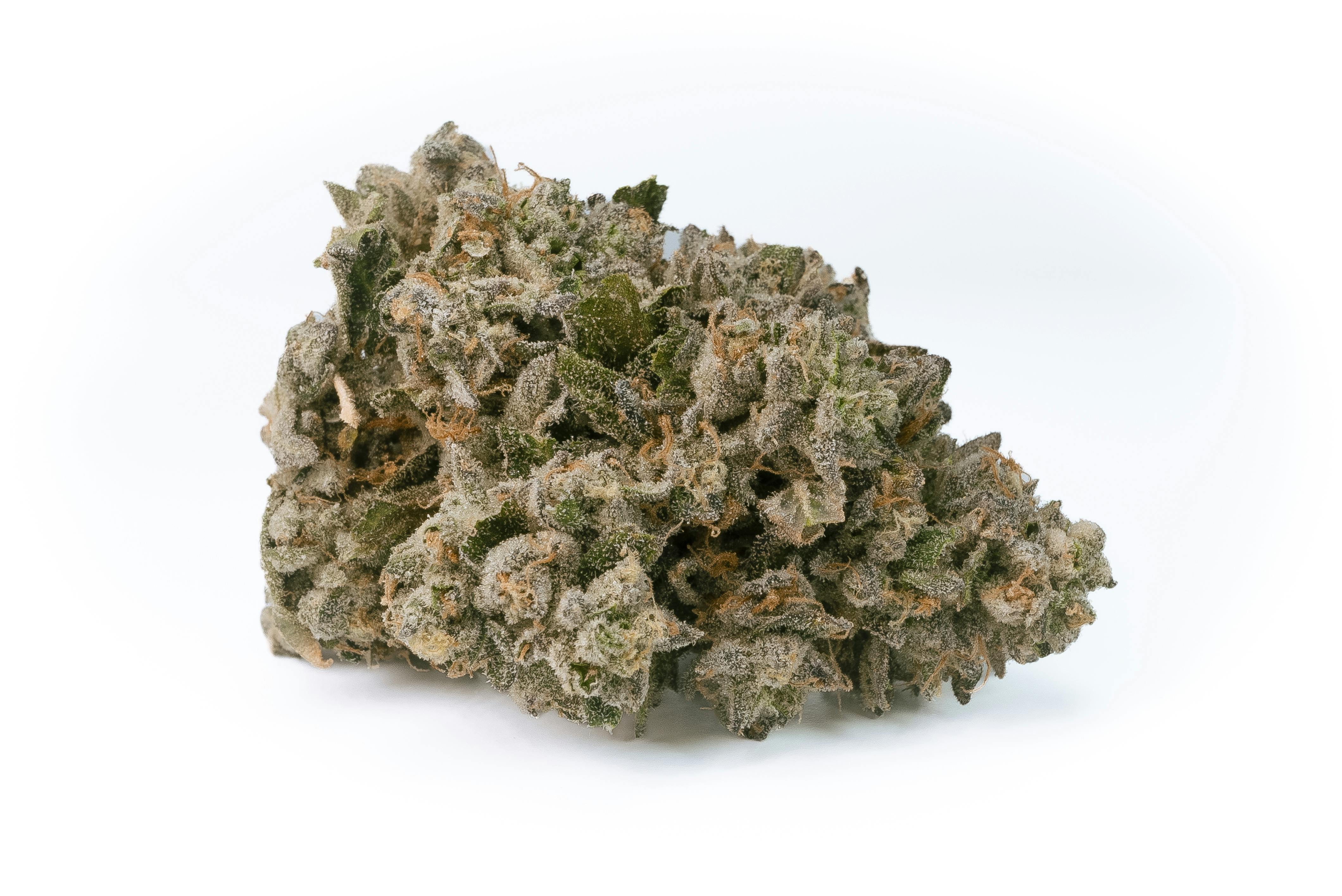 Photograph of product: Detroit Runtz 3.5g Flower