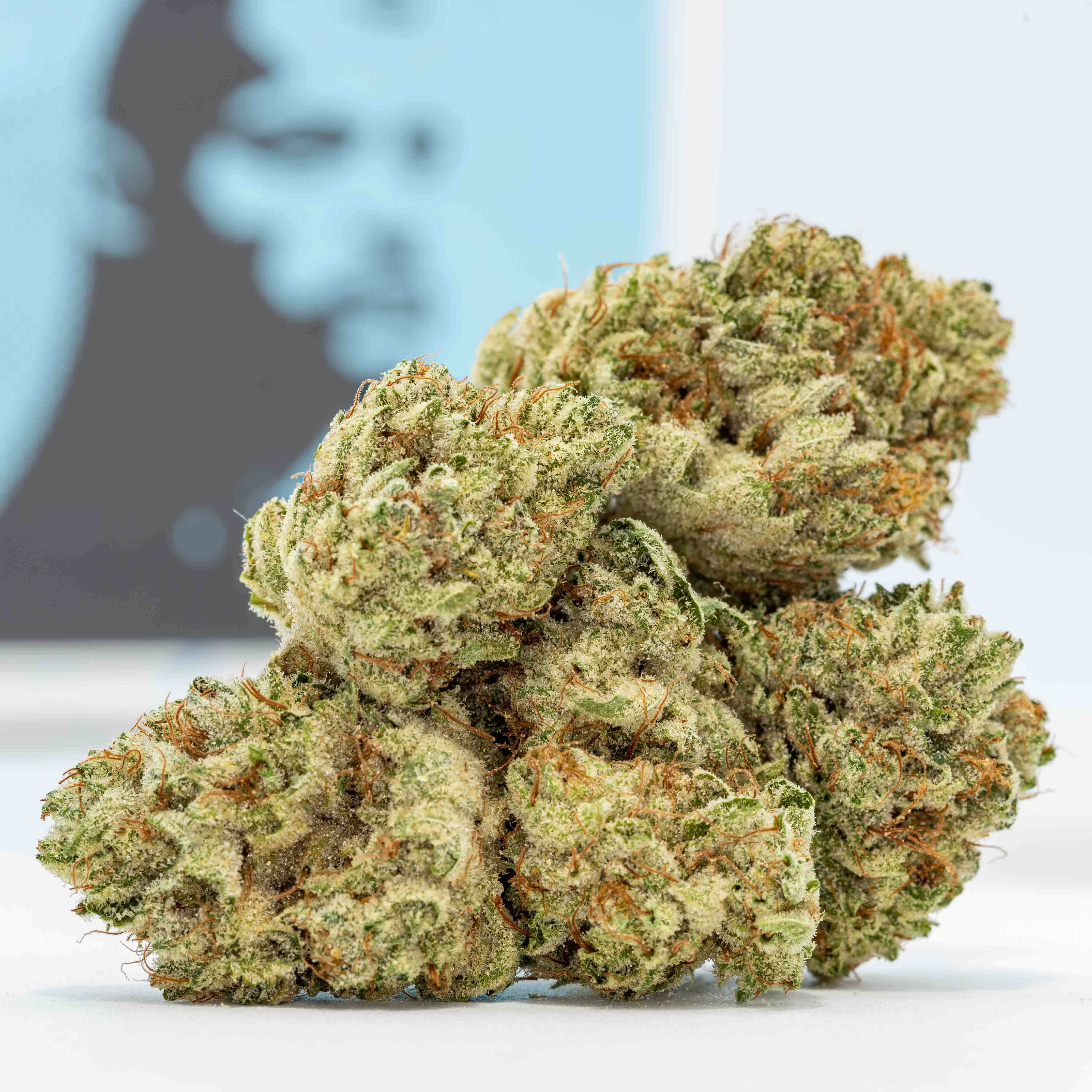 Photograph of product: Glue #4 | Premium Buds - 3.5g