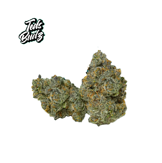 Photograph of product: REEFER TRUCK 3.5G