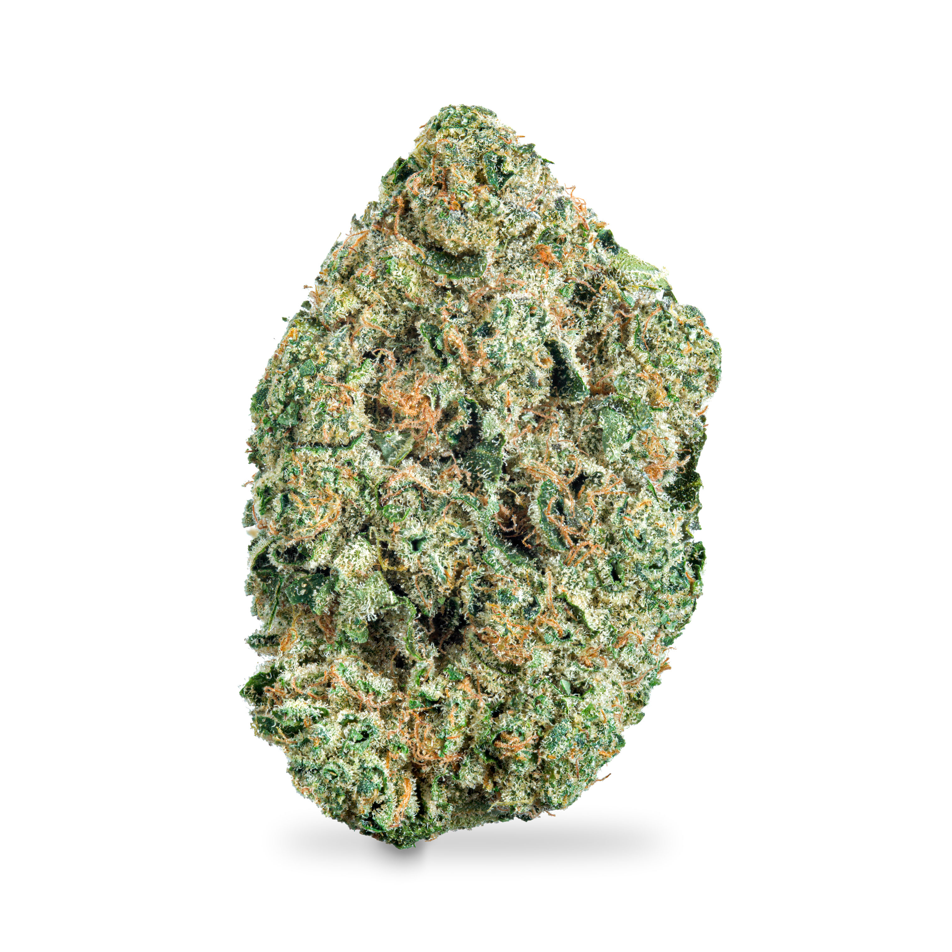 Photograph of product: West Coast Toad Pre-Pack - 3.5g