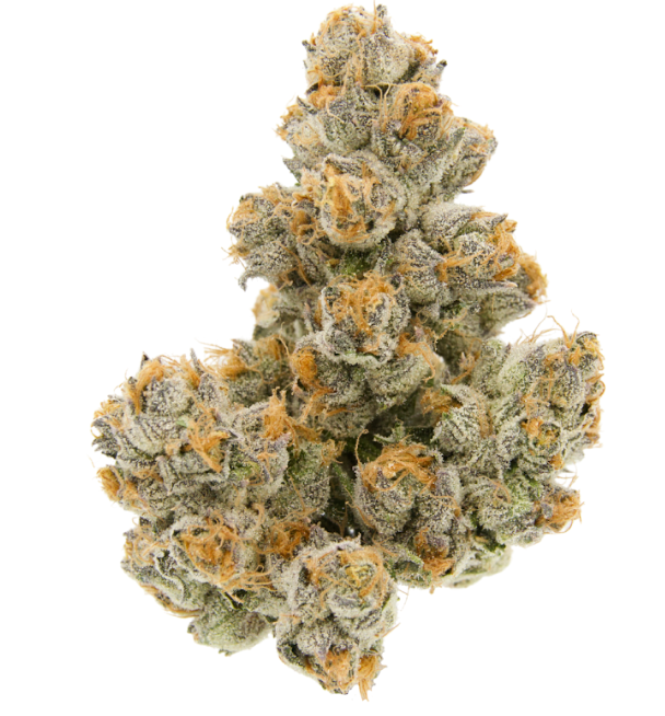 Photograph of Product: Sense | Tuscan Gelato - 3.5g