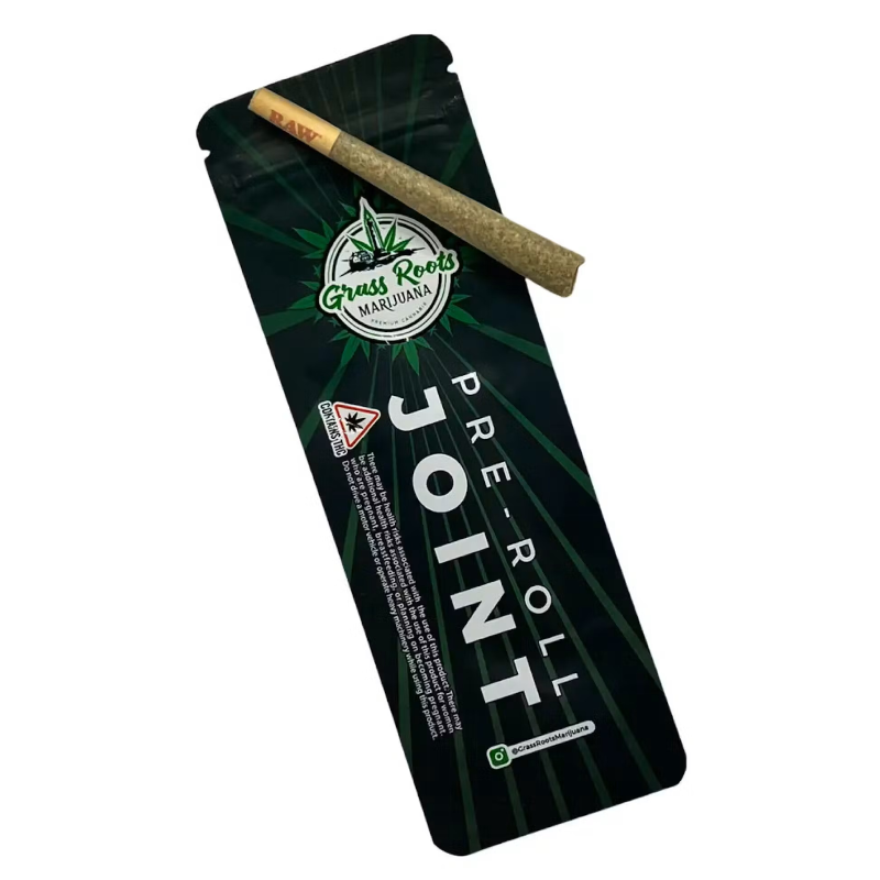 Photograph of product: Zig Zag Mini Palm - Leaf 5pk