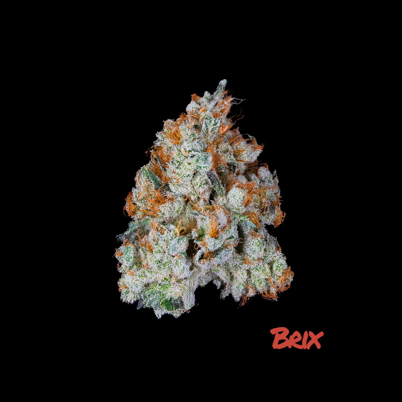 Photograph of product: Gary P | Pre-Pack | 3.5g | 00289