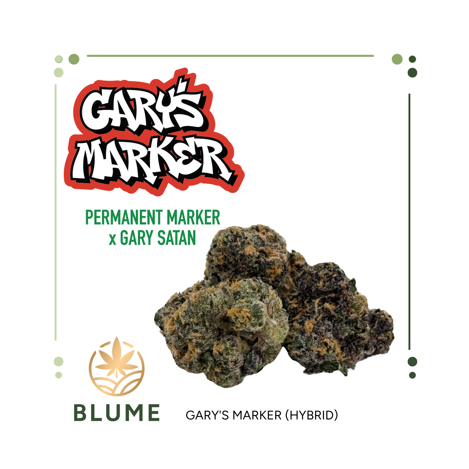 Photograph of product: Flower | BLUME | Gary's Marker | Bulk - 28g