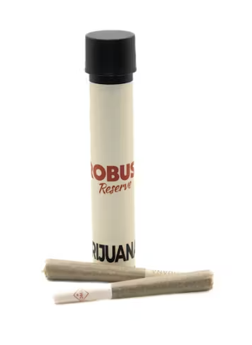 Photograph of product: The Arch | 0.5g (2pk) Infused Pre Rolls