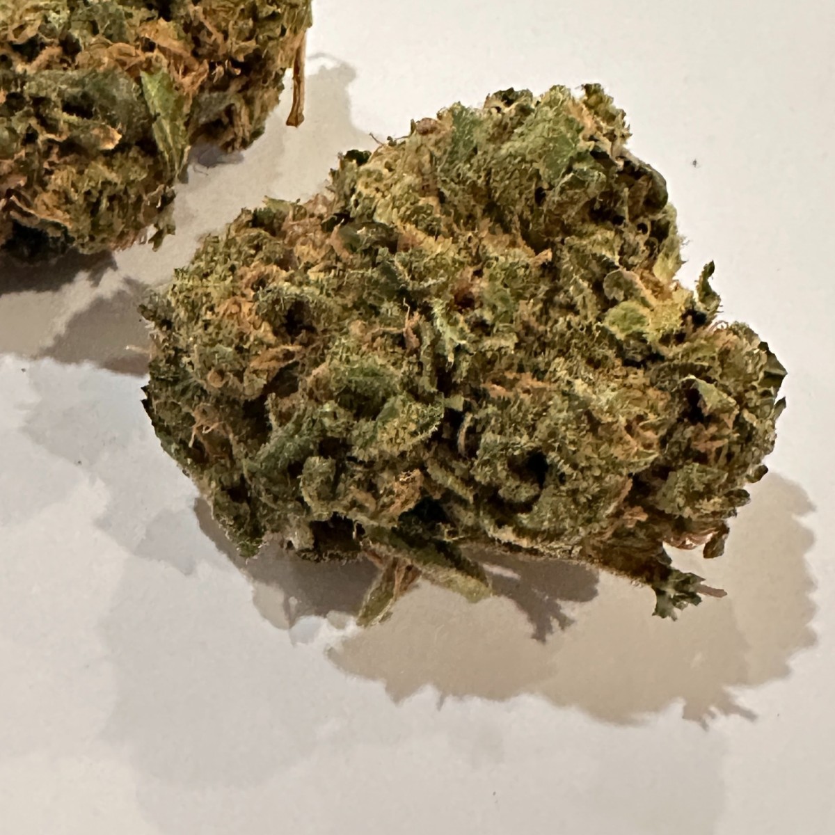 Photograph of product: Oui'd Connections | Lemon Jeffrey | Bulk Flower - 28g