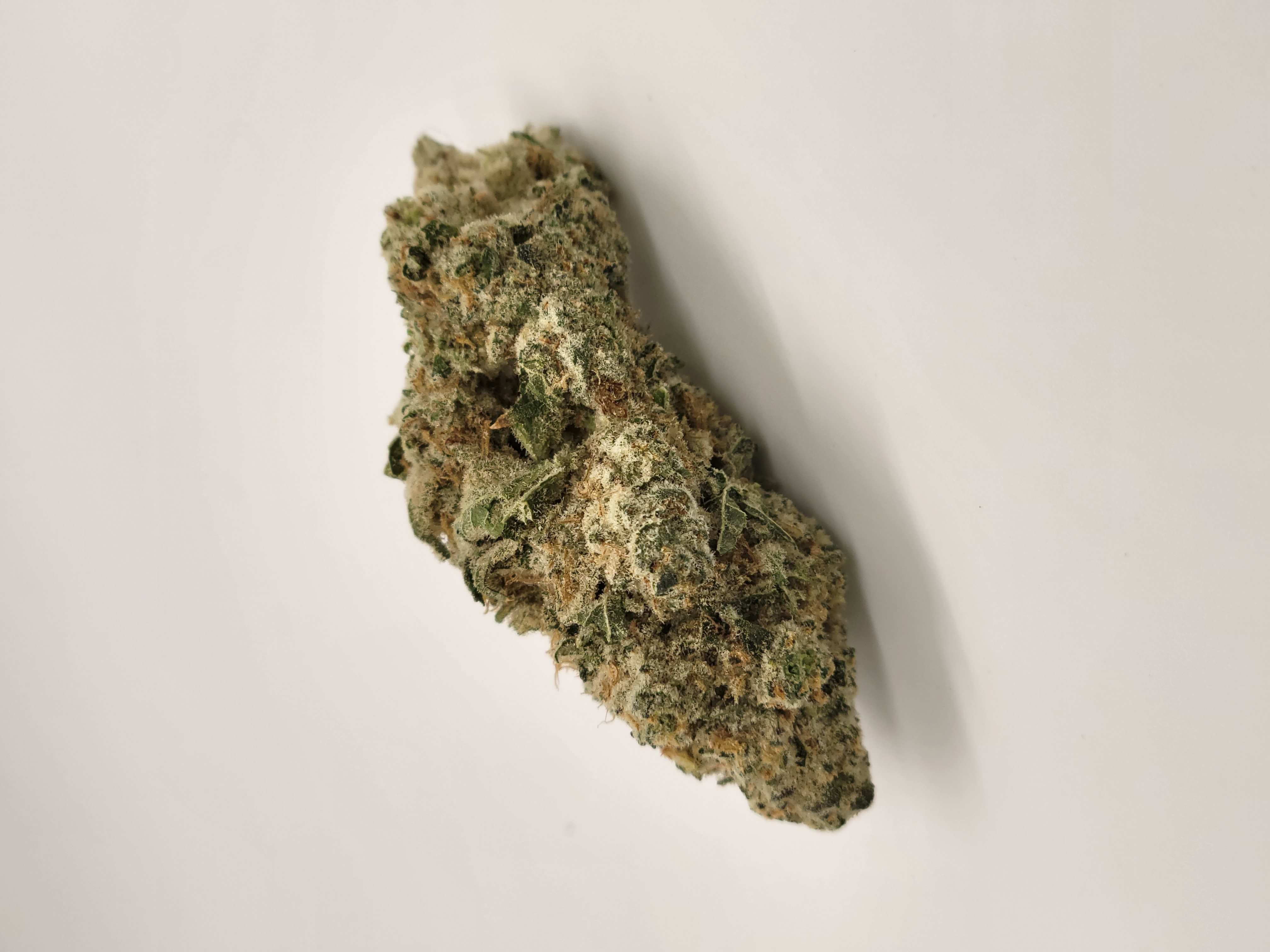Photograph of product: APPLE FRITTER HALF