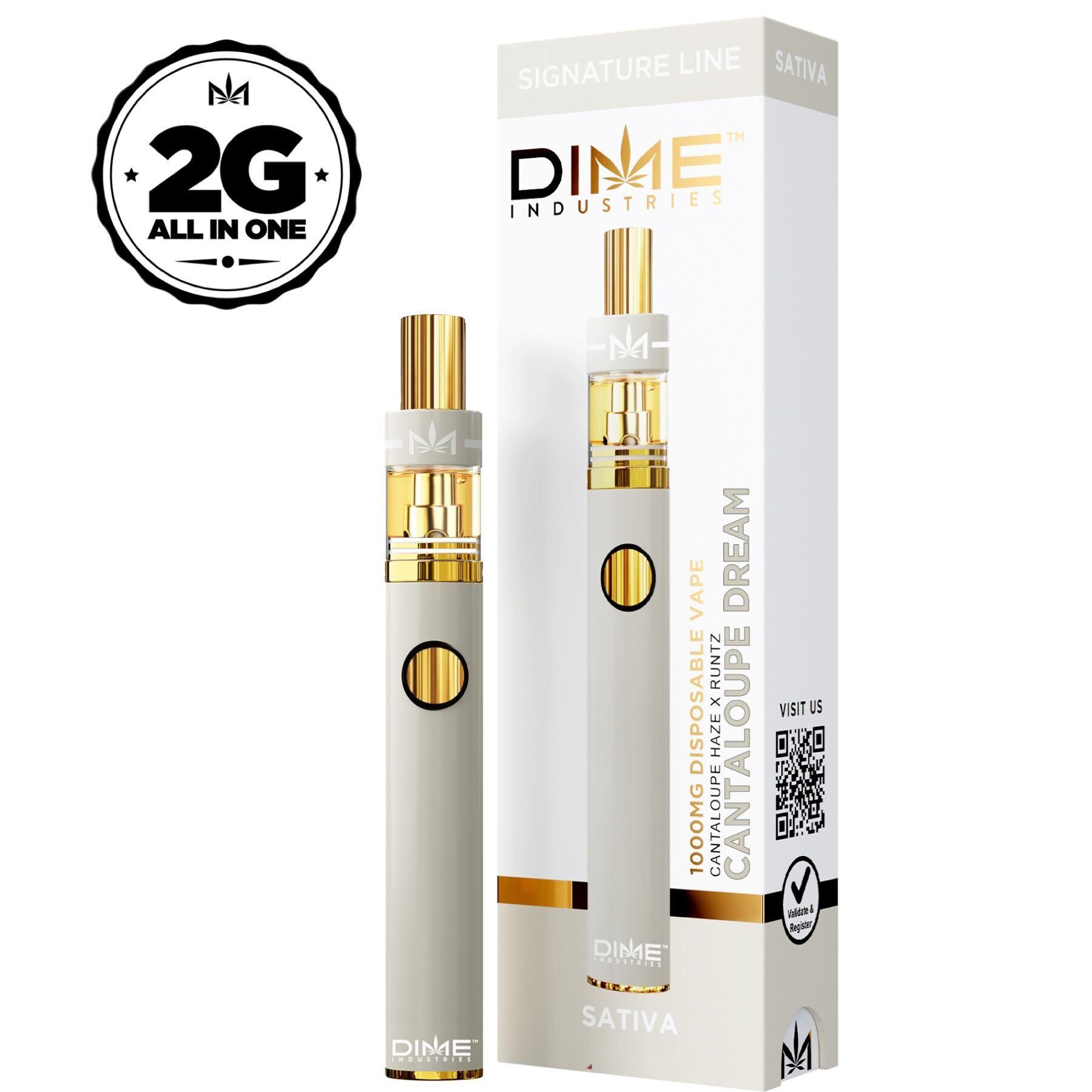 Photograph of product: DIME | Disposable Vape | Cantaloupe Dream | 2g