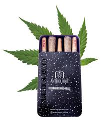 Photograph of product: Alien Milkshake 5ok 2.5g Pre Rolls-I