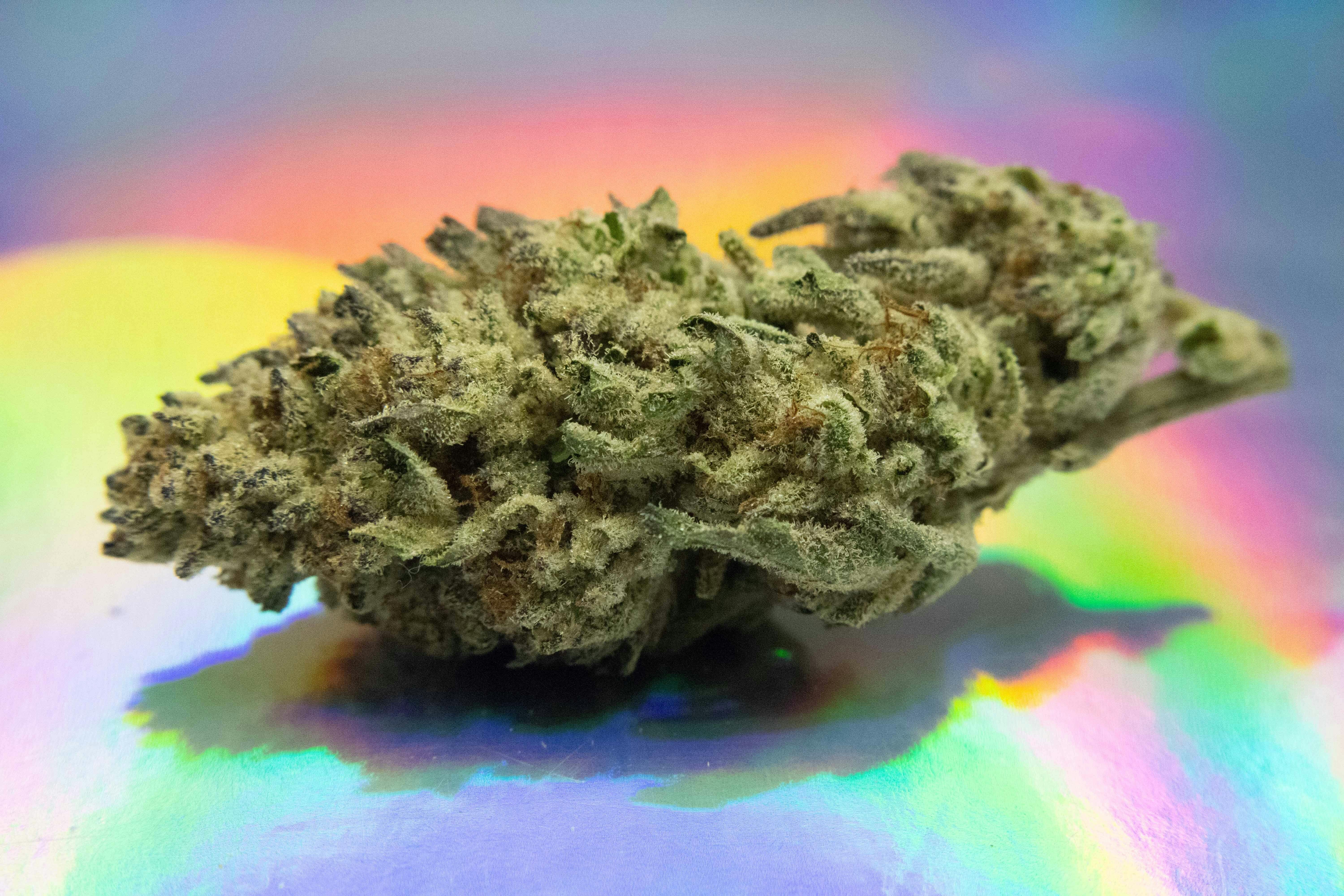 Photograph of product: Canna Trust | Secret Weapon | 1 Gram |