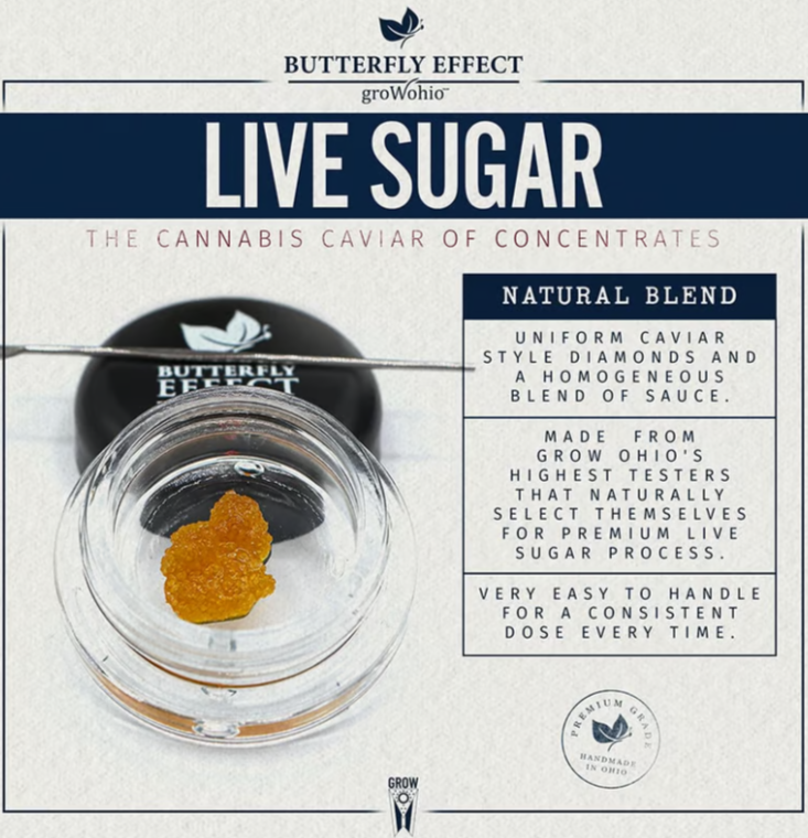 Photograph of product: Layer Cake | Live Sugar | 0.85g