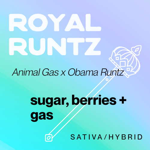 Photograph of product: Royal Runtz - 28g