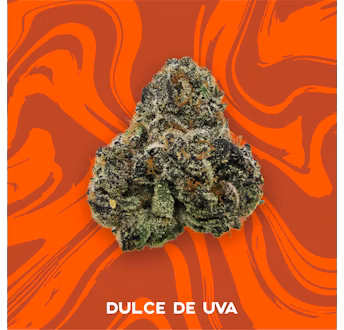Photograph of product: Dulce De Uva - Vivid - 3.5g Pre-Packaged