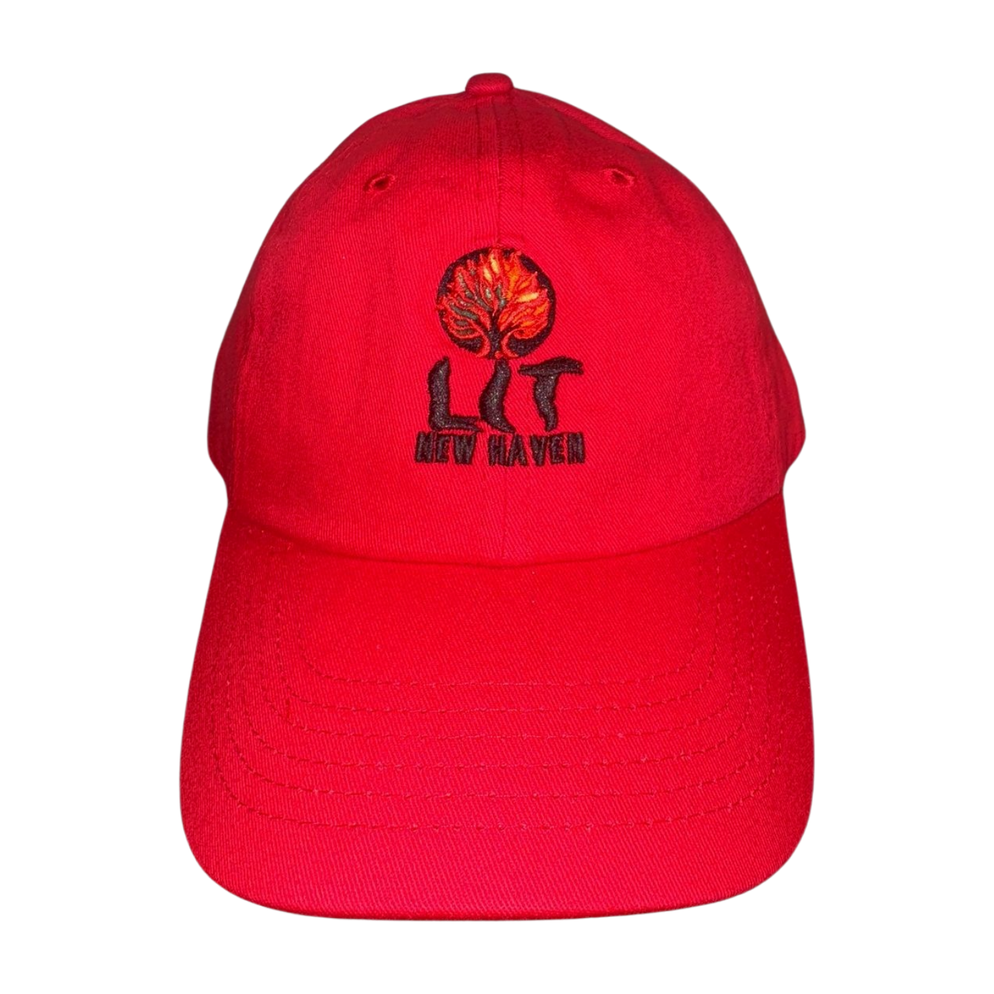 Photograph of product: LIT | Dad Hat | Red/Black