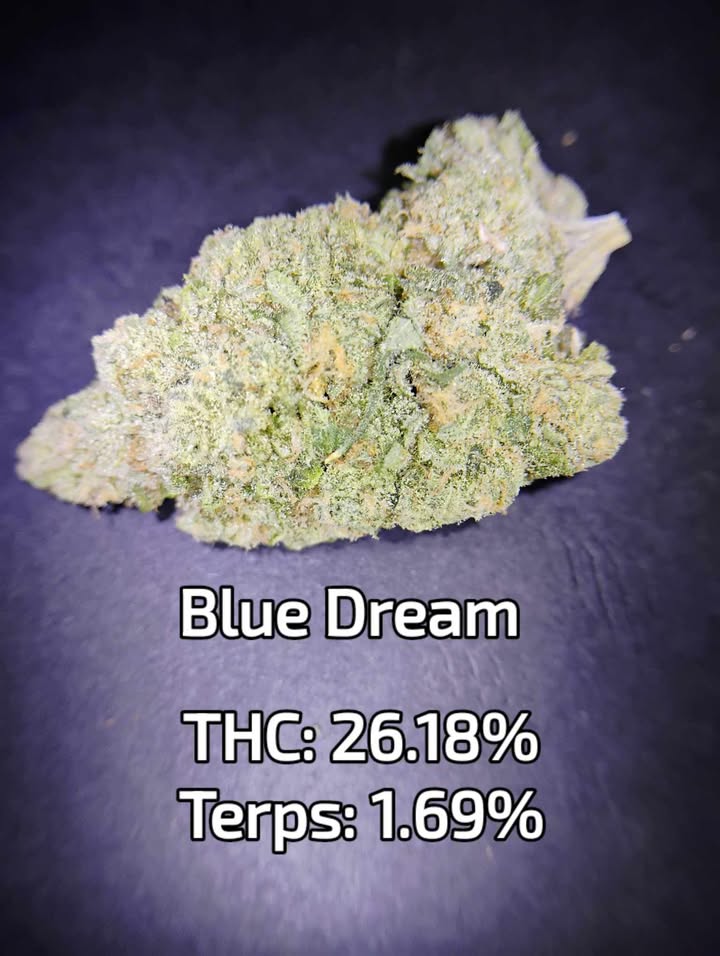 Photograph of product: Blue Dream $ /$175oz | Green Mountain Farms - 3.5g
