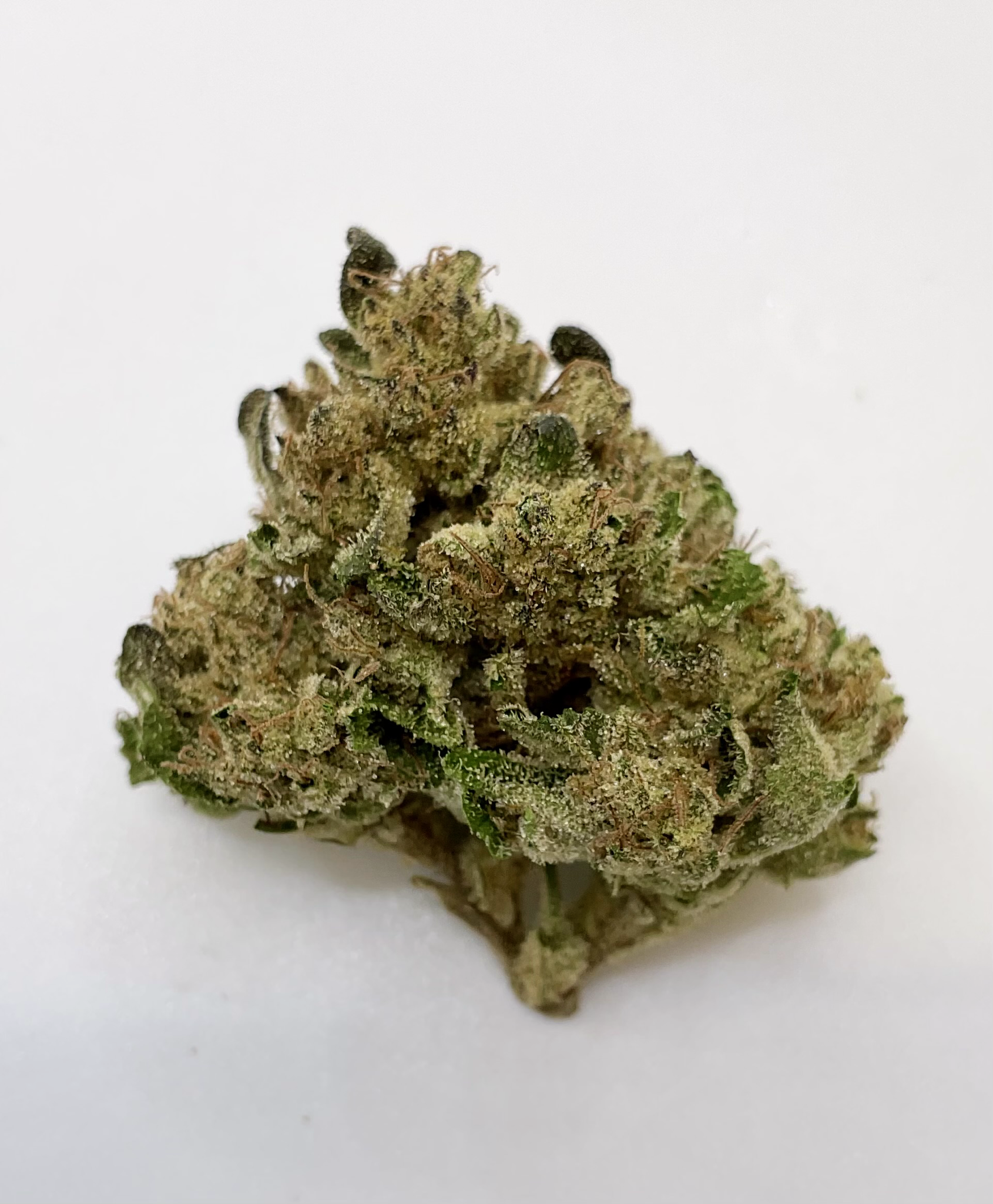 Photograph of product: Cannabaceae I Flower I Guava - 3.5g