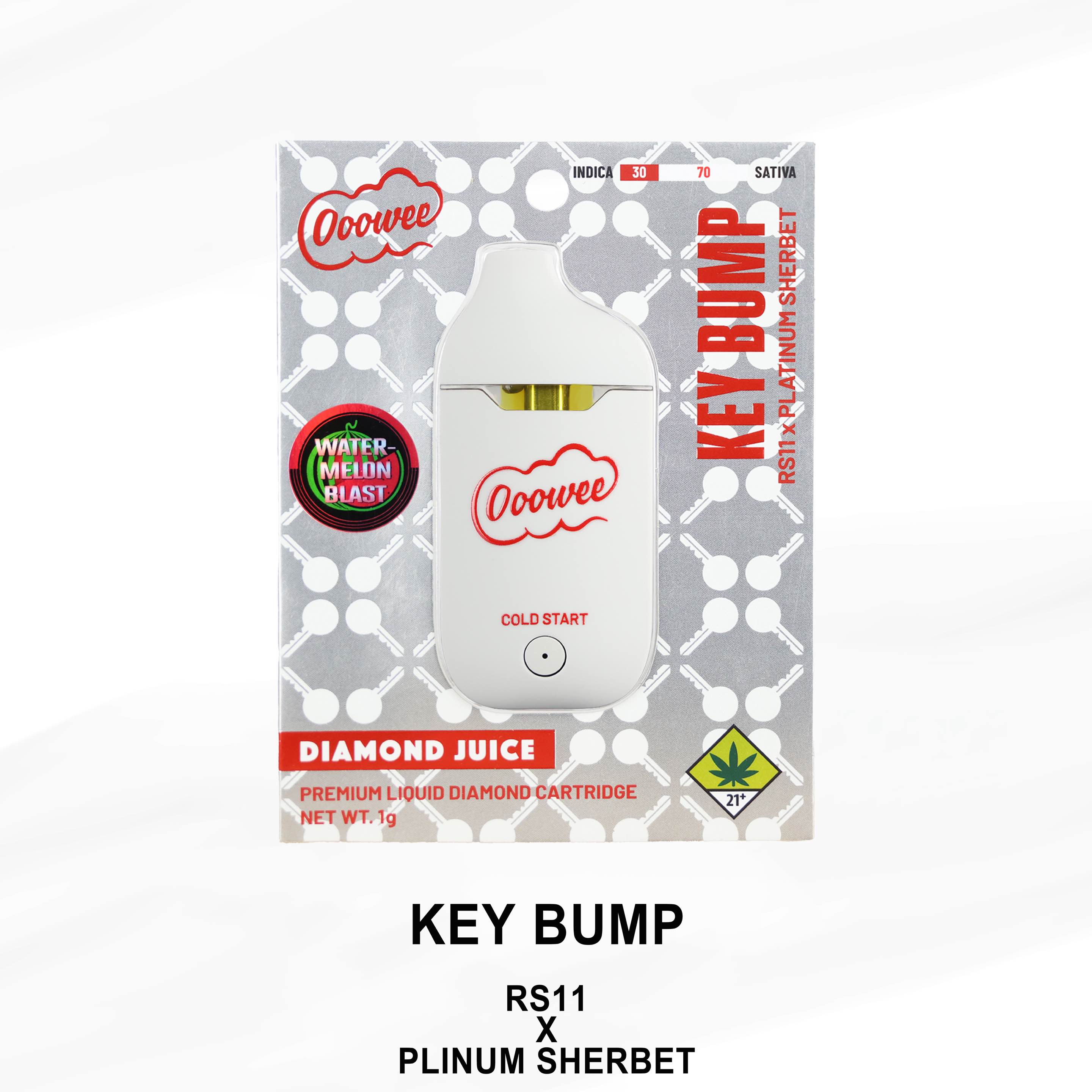 Photograph of Product: Key Bump (Watermelon Blast) Liquid Diamond Disposable | 1g