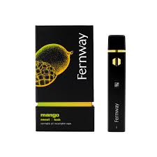 Photograph of product: Two Gram Disposable | Mango (Hybrid)