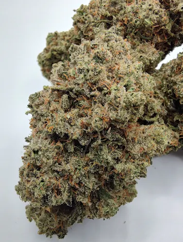 Photograph of Product: Redbud Roots Whompz Flower - 14g