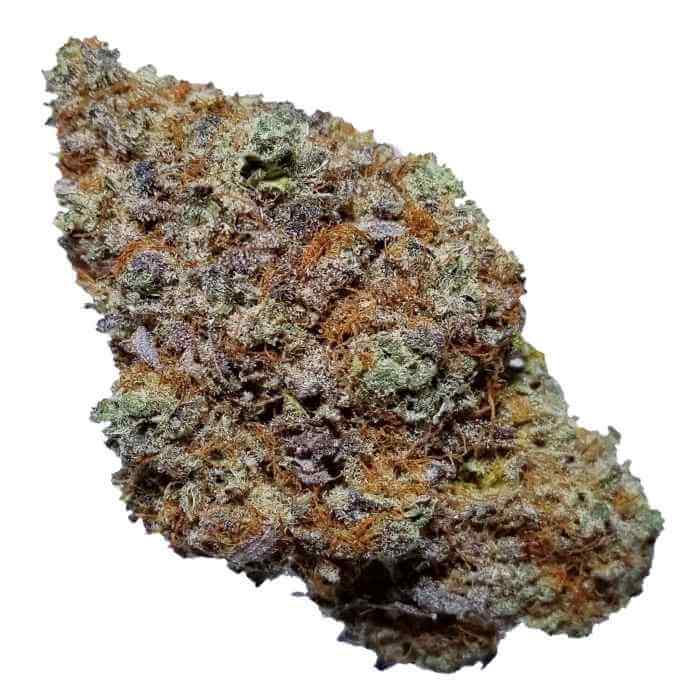 Photograph of product: HG - TOP - Fam 95 - 1g