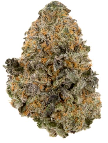Photograph of product: Hollywood Trop #3 - 3.5g