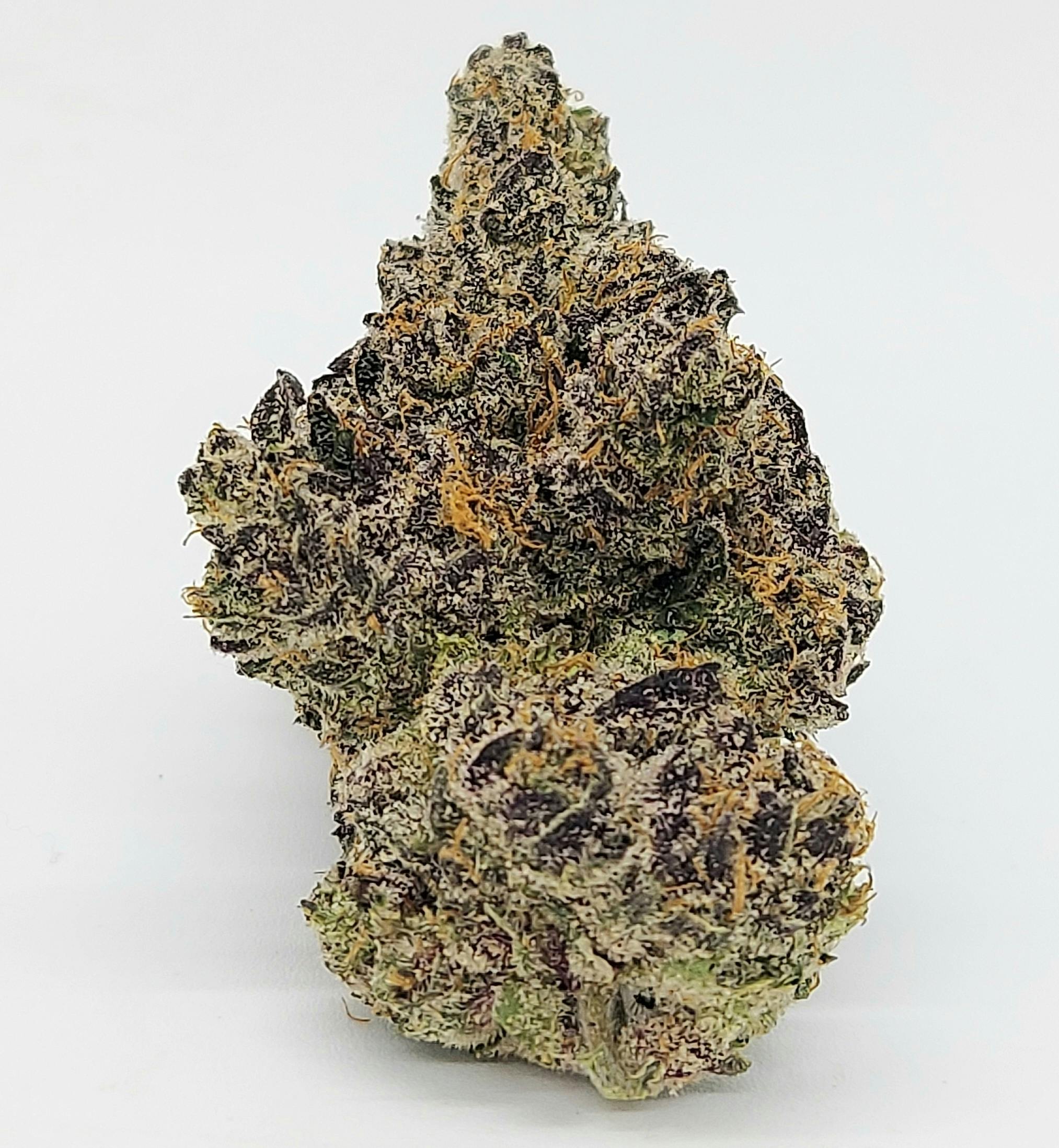 Photograph of product: Gary Runtz