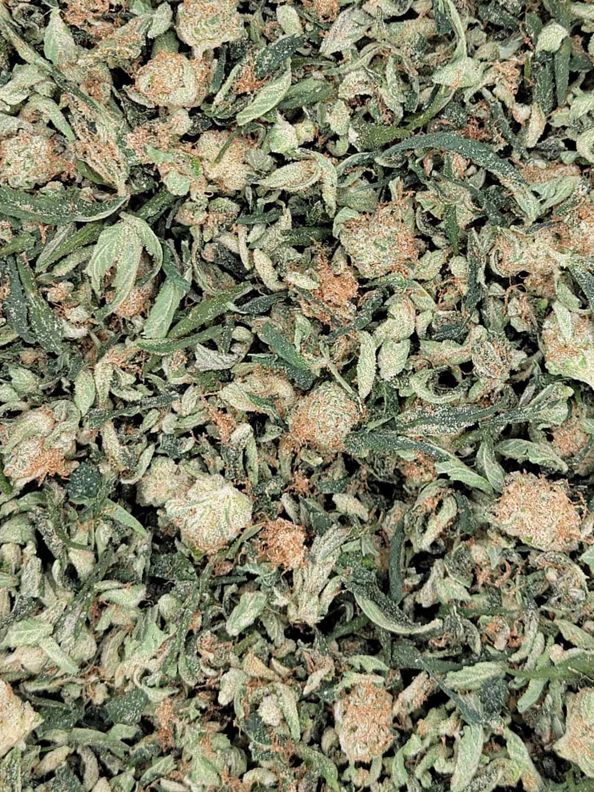 Photograph of product: Jellybreath | 6.7.25 | Trim ID - 14g