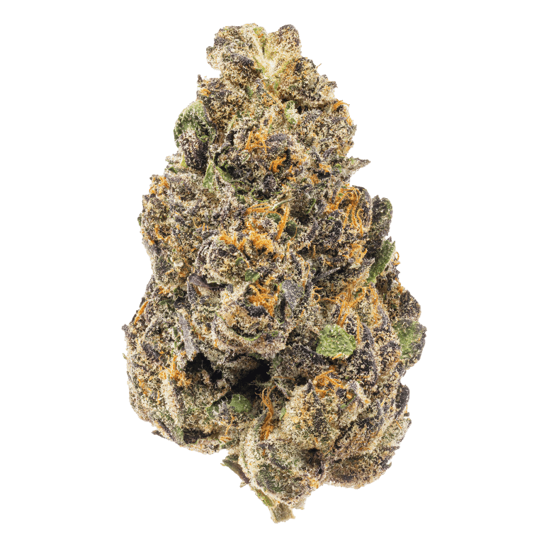 Photograph of product: Sherb Cream Pie - 3.5g - Flower