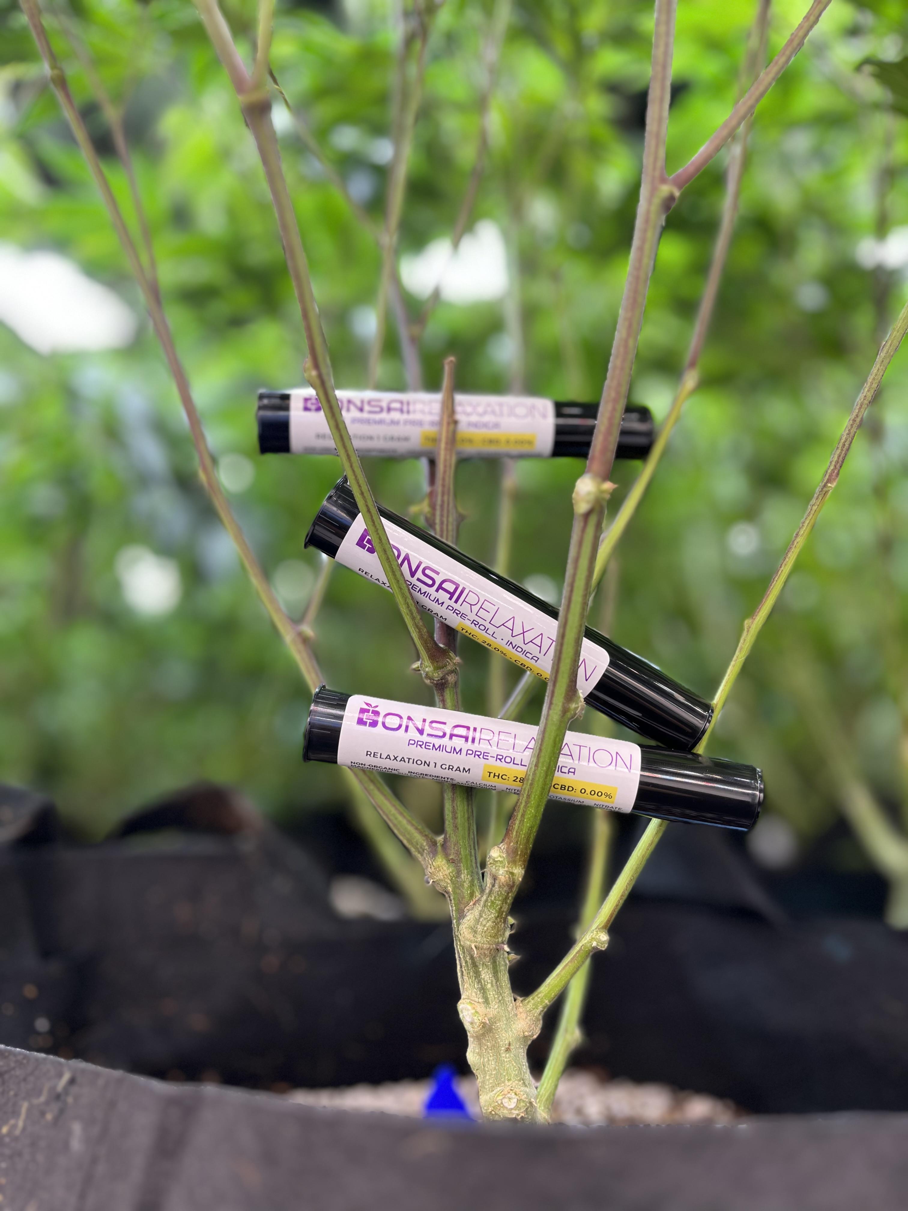 Photograph of Product: Bonsai Preroll 2x.5g (I) Relax