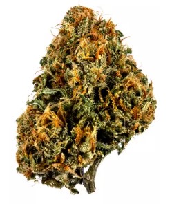 Photograph of product: AMA | Honey Pot 14g