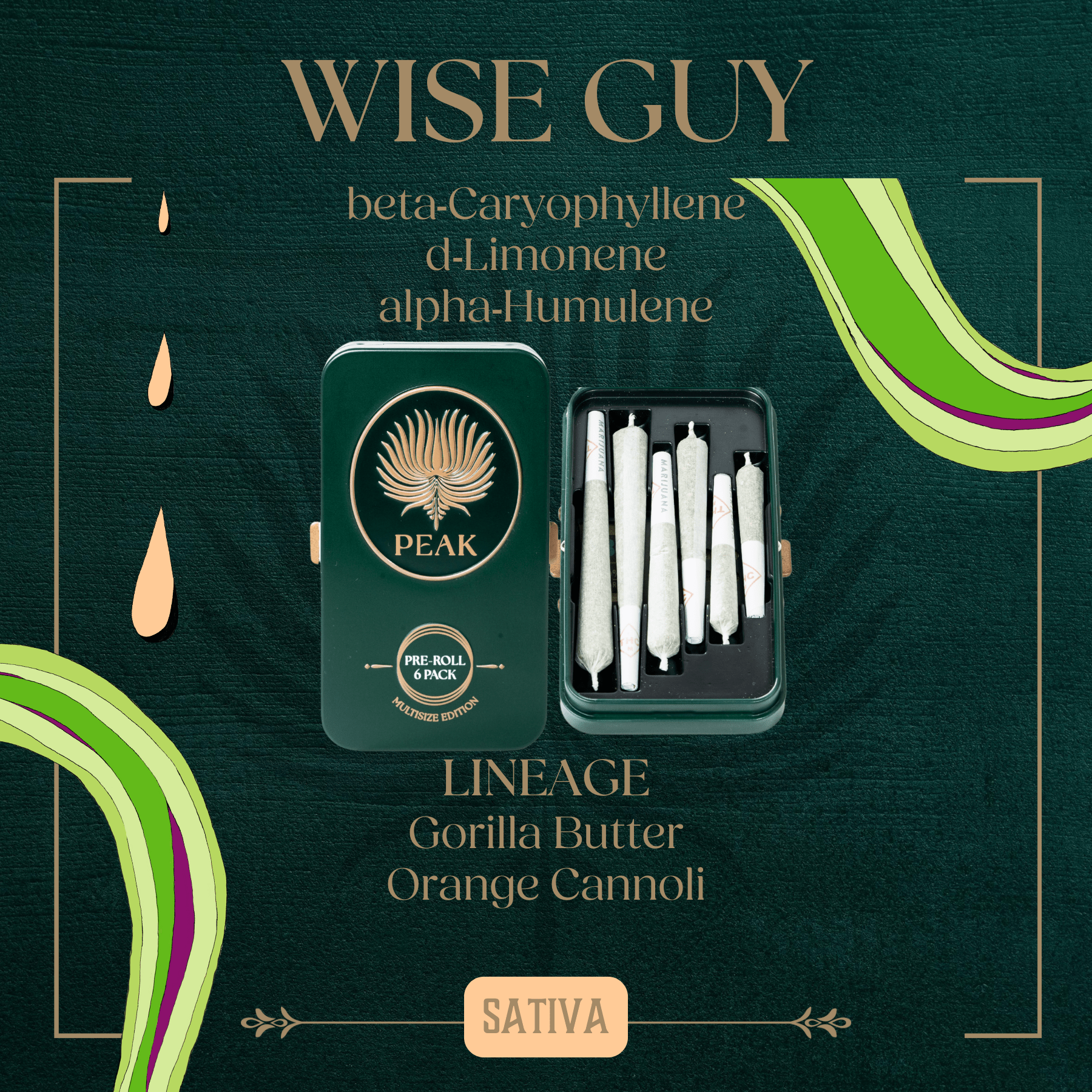 Photograph of Product: Wise Guy Pre-Roll Multi Size | 6-pack