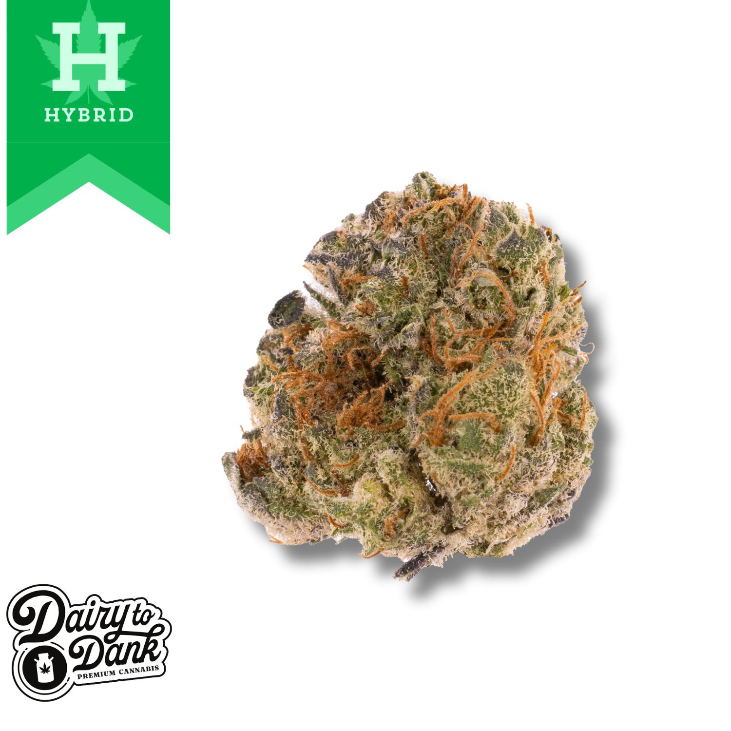 Photograph of product: D2D | Flower | Pre-Pack 3.5g | 1pk | Bolo Runtz (HYB) | Bigs