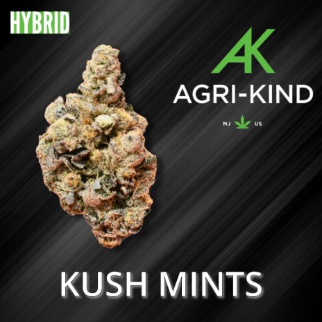 Photograph of product: Kush Mints - Flower 3.5g