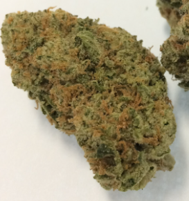 Photograph of product: Zookies | Shake Flower - 28g