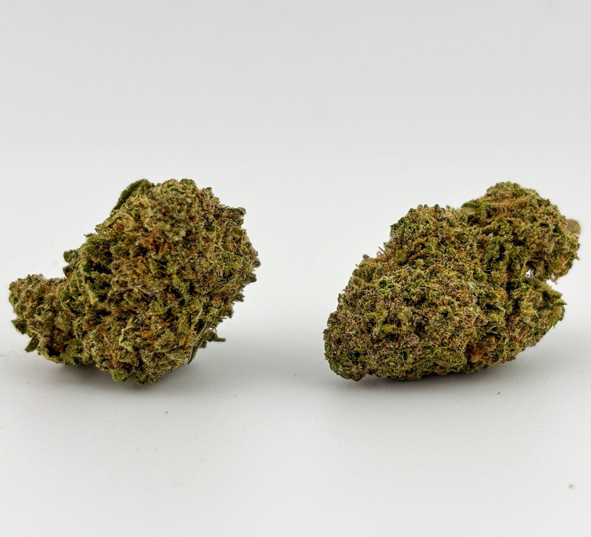 Photograph of product: Williams Wonder | Blueberry Muffin (6798)