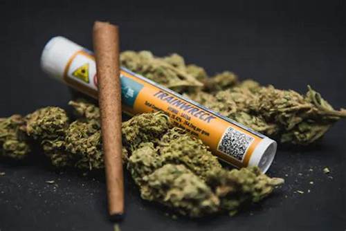 Photograph of product: Breakfast Connections | Trainwreck | 1G Blunt
