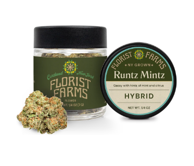 Photograph of product: Florist Farms | Runtz Mints | 7G Flower Jar