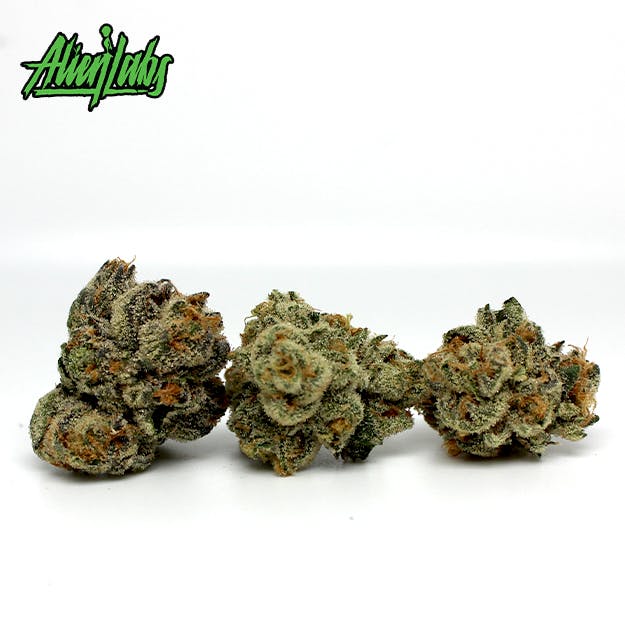 Photograph of product: Alien Labs - Gemini - 3.5g - 