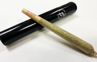 Photograph of product: Quattro Kush | 1g