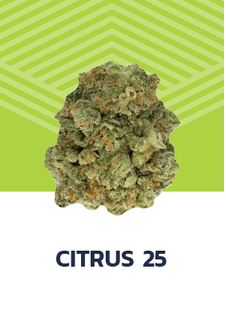 Photograph of product: Citrus 25 Flower - 3.5g