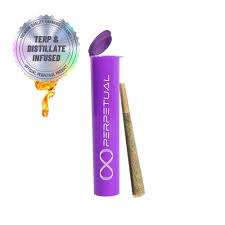 Photograph of product: Sour Citrus | 1g Infused Preroll | Perpetual