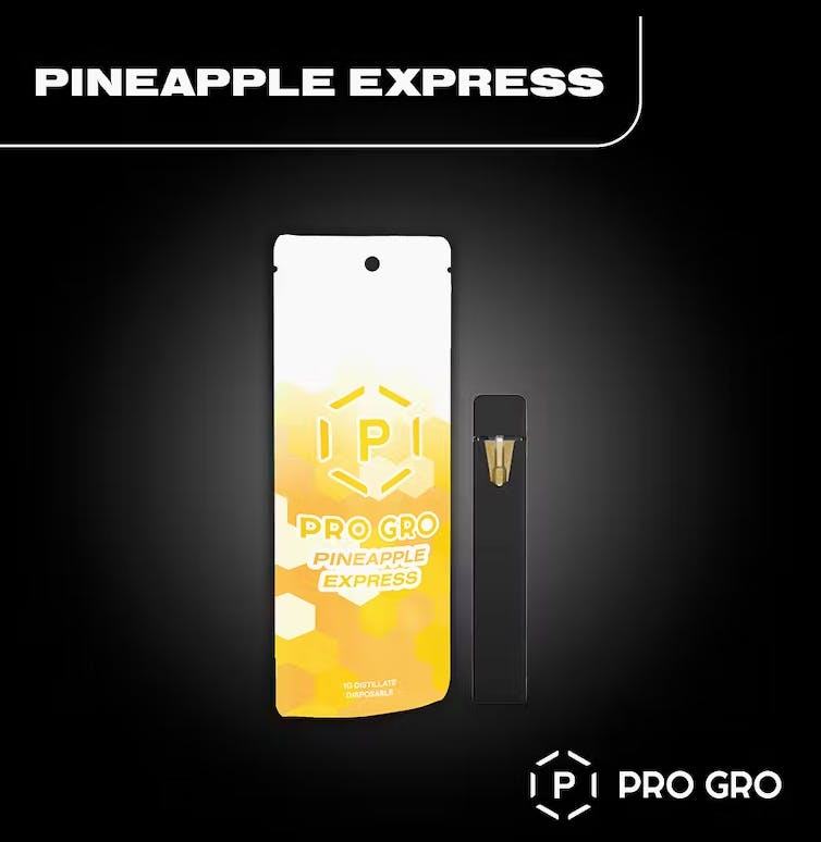 Photograph of product: Pro Gro- Pineapple Express- Disposable- 1G