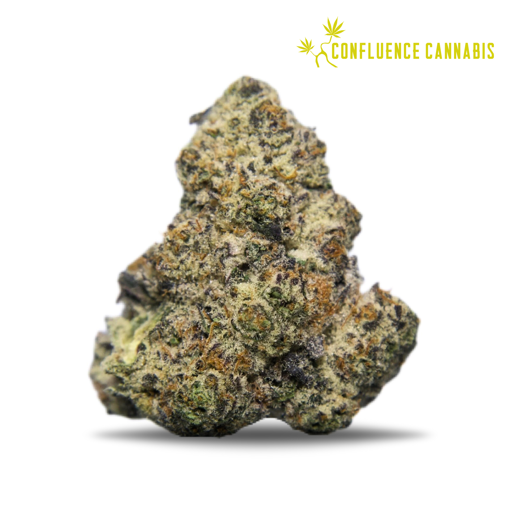 Photograph of product: High Speed - 1g