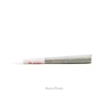 Photograph of product: PR - 1g Tropicana Banana Cookies  PreRoll - Watts Distro