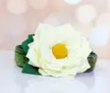 Photograph of product: Dog Collar Flower/Tie