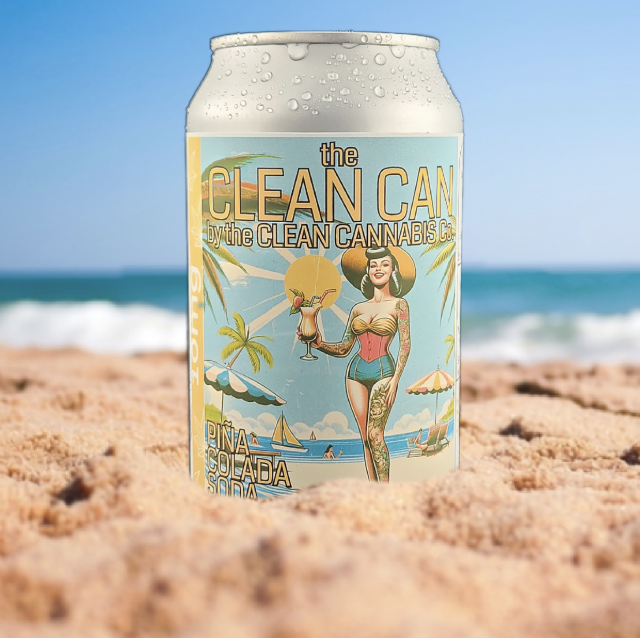 Photograph of product: Pina Colada Soda