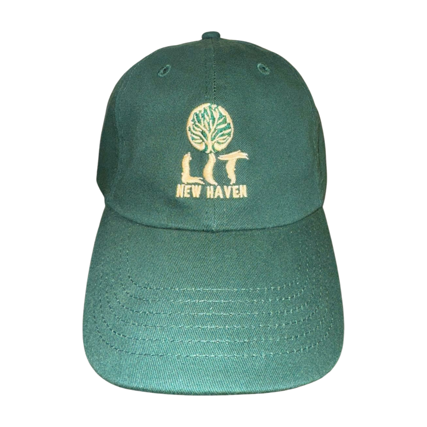 Photograph of product: LIT | Dad Hat | Forest Green